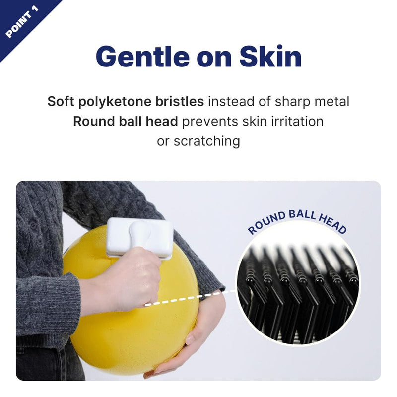 [PETHROOM] Healing Slicker Brush | Pet Brush | Dogs & Cats | Goldendoodle Brush | Coated Tips for Gentle Grooming | Dog Brush for Shedding | Long-Haired or Curly-Haired Dogs - BeesActive Australia