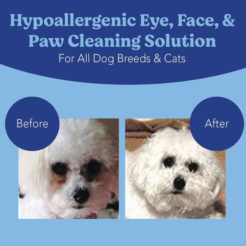 ANGELS’ EYES Face, Eye & Paw Cleansing & Tear Stain Wipe, Large 4”x7” Hypoallergenic Dog & Cat Wipes, Reduce Tear Stains, Dirt, and Discharge, Fragrance Free, 40 Count - BeesActive Australia