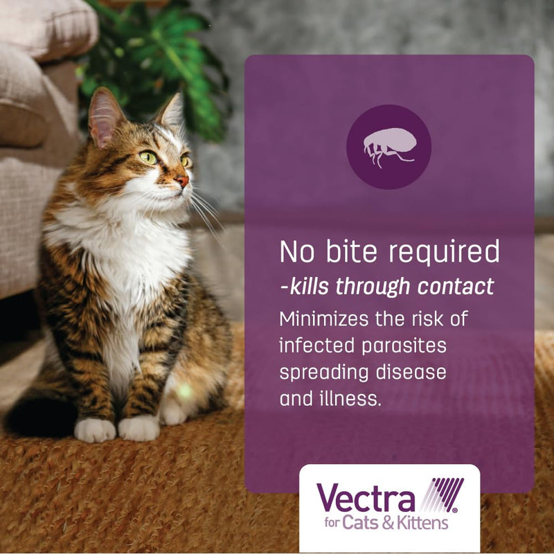 Vectra for Cats & Kittens Flea Treatment & Prevention for Small Cats (2-9 lbs.) 3-Month Supply 3 Pack