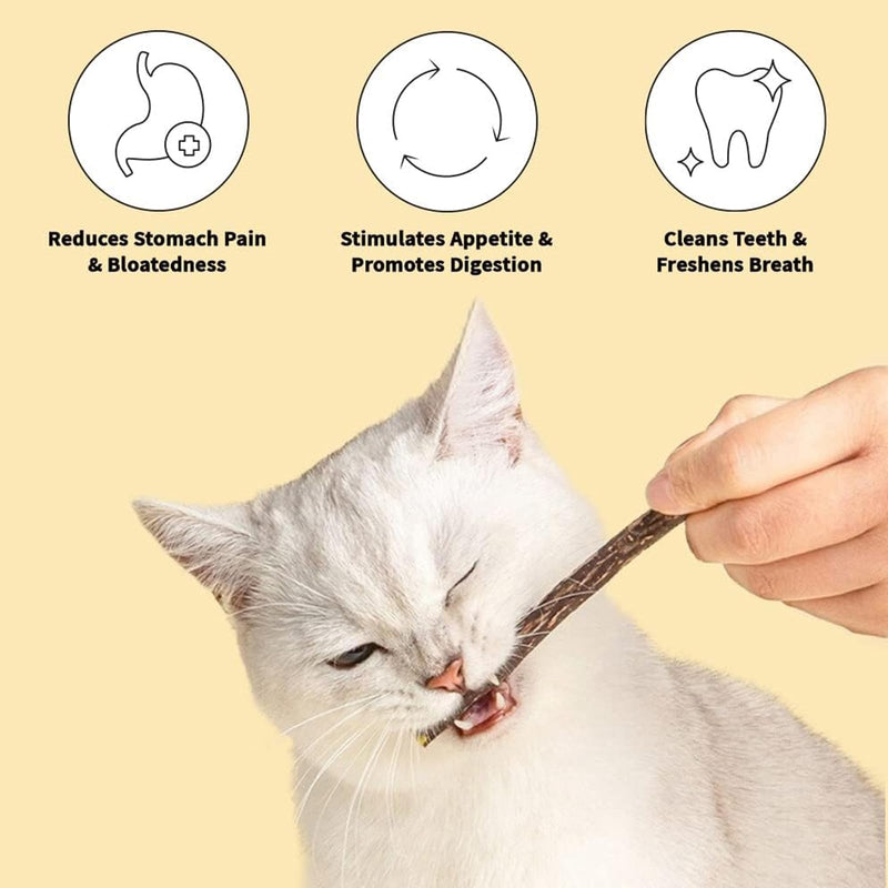 50 PCS Catnip Sticks For Cats, Cat Dental Chew Sticks, Matatabi Cat Dental Care, Silvervine Cat Teeth Cleaning Dental Sticks, Kitten Teething Toys for Indoor Cats 50 pcs