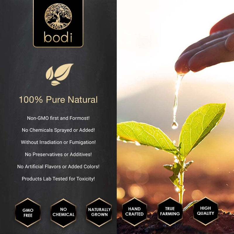 bodi : Goldenseal Root 5:1 Extract Powder | 100% Pure Natural Hand Crafted (4 oz)