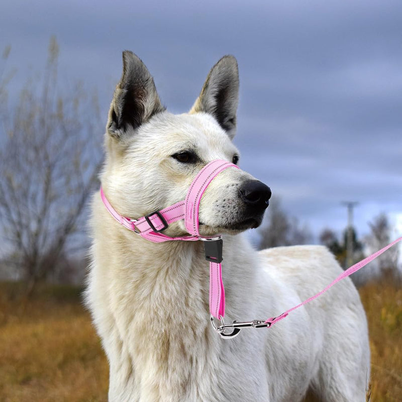 No-Pull Dog Headcollar - Reflective Head Halter Collar for Dogs, Padded Dog Head Collar to Stop Heavy Pulling, Anti-Pull Muzzle Leash (Pink, Medium) Pink - BeesActive Australia