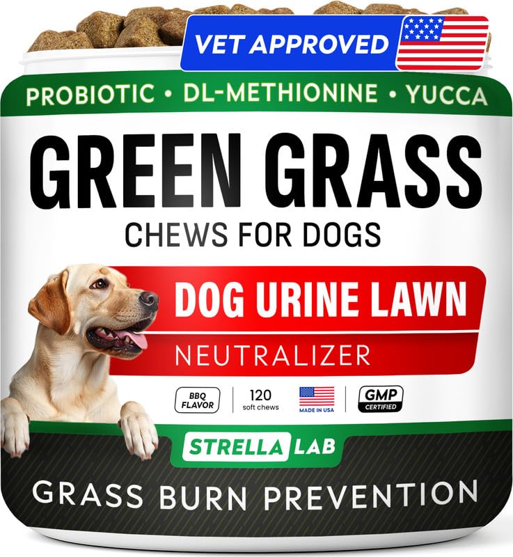 STRELLALAB Dog Pee Grass Chews - Urine Neutralizer for Green Grass Burn Spots - Grass Treatment for Pet Urine - Green Lawn Chews for Dogs with Probiotics - Made in USA (120Ct) 120Ct (BBQ)