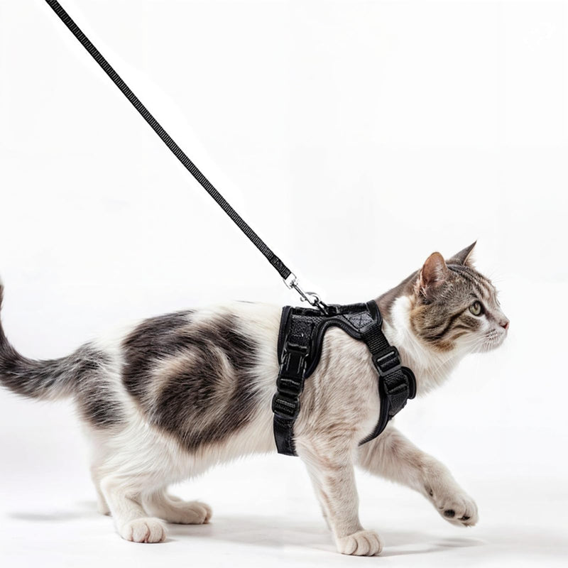 Comfortable cat harness with leash - Breathable air mesh, Suitable for neck circumference 21-28 cm, chest circumference 34-41 cm - Easy to put on and take off - Perfect for walks with your cat XS Black - BeesActive Australia