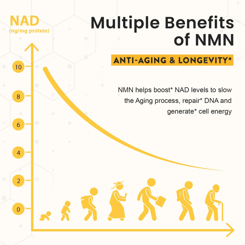 Sublingual NMN 500mg, NMN Supplement（120-Day Supply）, 99% Pure, 120 Lozenge | Max Absorbency & Fast-Acting NMN (Nicotinamide Mononucleotide) for NAD, Cell, Immune, Energy, Muscle, Anti-Aging & Longevity 120 Count (Pack of 1)