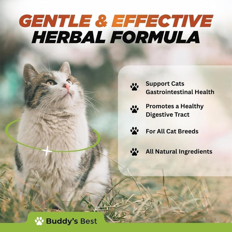 Natural Gut Support for Cats + Neck Drops for Cats