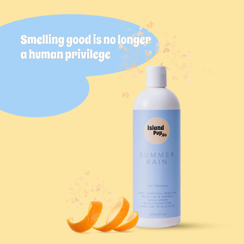 Islandpup 5-in-1 Organic Dog Shampoo and Conditioner | Hydrating, Deodorizing & Detangle | Natural Dog Shampoo made with Oatmeal & Coconut| Locks Moisture in The Skin for Lasting Hydration | 16 FL OZ - BeesActive Australia