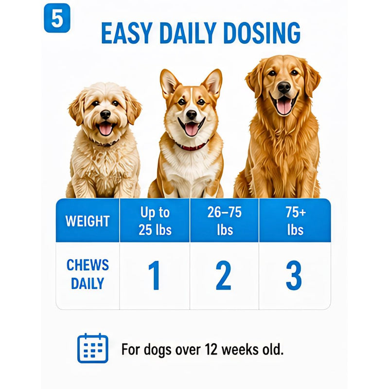 Skin & Coat Dog Chews – 60 Soft Chews, 6.3 oz, Natural Chicken Flavor, Omega-3 & Vitamins for Healthy Skin & Shiny Coat