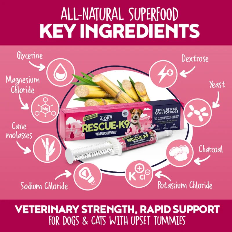 Probio-K9 Digestive Supplement + Probiotic Paste for Dogs | Daily Gut Health, Digestive & Tummy Support | Probiotics, Prebiotics & Stool Forming Fibres | Upset Stomach & Firm Stool Support | UK Short