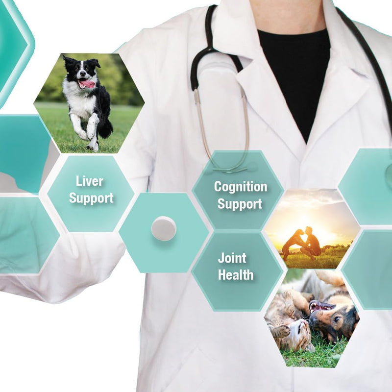 Same for Dogs - S-Adenosyl-L-Methionine - Liver, Joint and Cognitive Support for Large Dogs - Vet Approved - 400 mg - 60 Tablets - PawsPlanet Australia