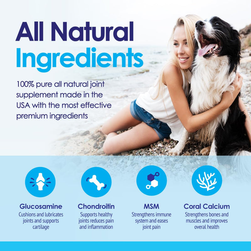 Advanced Glucosamine Powder for Dogs for Arthritis Pain Relief & Hip Dysplasia, Supports Joint Health & Reduces Inflammation with Glucosamine, Chondroitin, MSM & Coral Calcium, 6oz Powder - BeesActive Australia