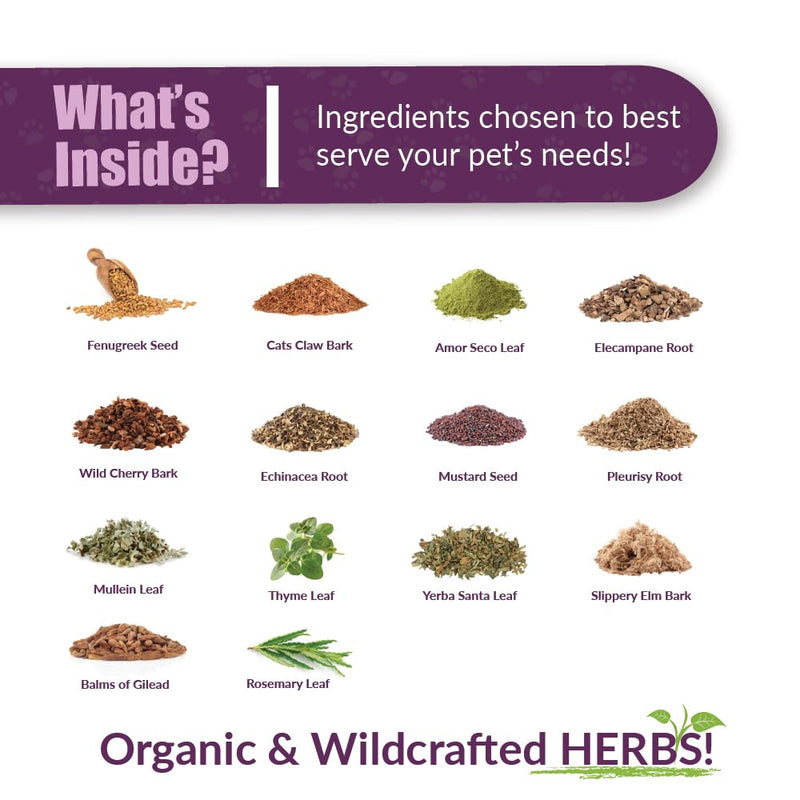 Amber NaturalZ Numo Care Lung Health Herbal Supplement for Dogs | Canine Herbal Supplement for Bronchial Support and Respiratory Lung Health | 1 Fluid Ounce Glass Bottle | Manufactured in The USA 1 Ounce (Pack of 1) - PawsPlanet Australia