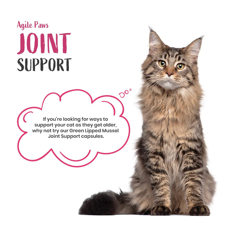 60 Pawbits Joint Support for Cats Tablets for Stiff & Mature Adult Cats Anti-Inflammatory Relief Supplements, Green Lipped Mussel, Glucosamine & Hyaluronic Acid Sprinkle Capsules (60) 60 Tablets