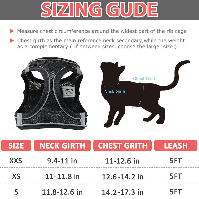 Cat leash with harness for cats, cat harness with leash escape-proof, cat harness escape-proof, cat harness set with leash for cats kittens dogs puppies (XXS) XXS - BeesActive Australia