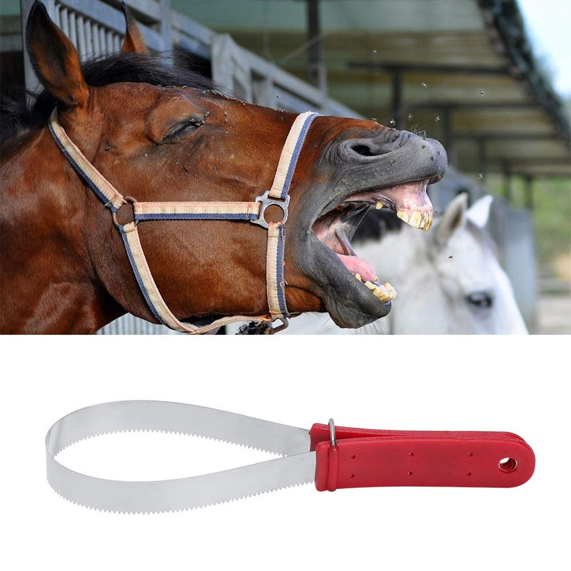 Stainless Steel Shedding Blade, Dog Shedder Scraper Tool Nonslip Handle, Grooming Scratching Accessory for Dogs, Horse - BeesActive Australia