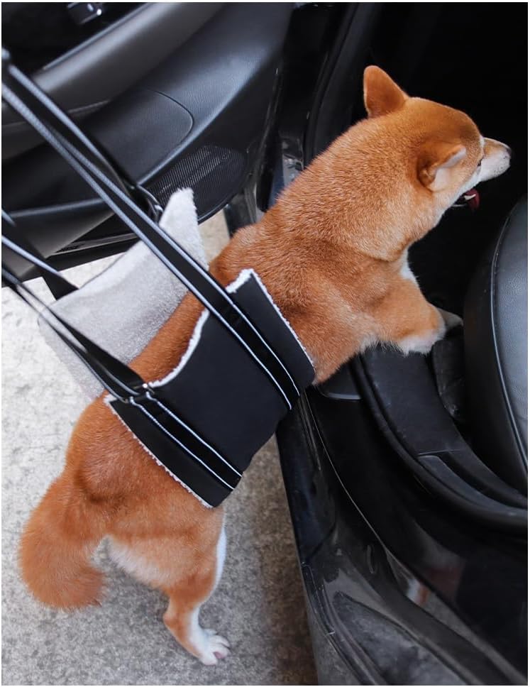 Mighty Paw Dog Lift Harness | Dog Sling for Large Dogs Hind Leg Support - Makes Lifting Rear Legs of Bigger Canines Easier - Comfortably Supports Back Legs - Hip and ACL Brace for Eldery Dogs - BeesActive Australia