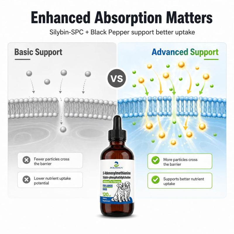 Same for Dogs Liquid Drops with Silybin, Milk Thistle, Choline, Artichoke, Dandelion & Curcumin, Dog Liver Support Supplement, Positive Mood & Daily Wellness Formula,Same for Dogs Liquid (120ml) 120ml