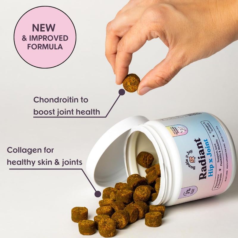 Radiant Hip and Joint Support Supplement for Dogs, 90 Soft Chews, Glucosamine Chondroitin for Dogs with Collagen, Turmeric, MSM, Colostrum, Helps Support Mobility and Flexibility Duck (Hip x Joint) - PawsPlanet Australia