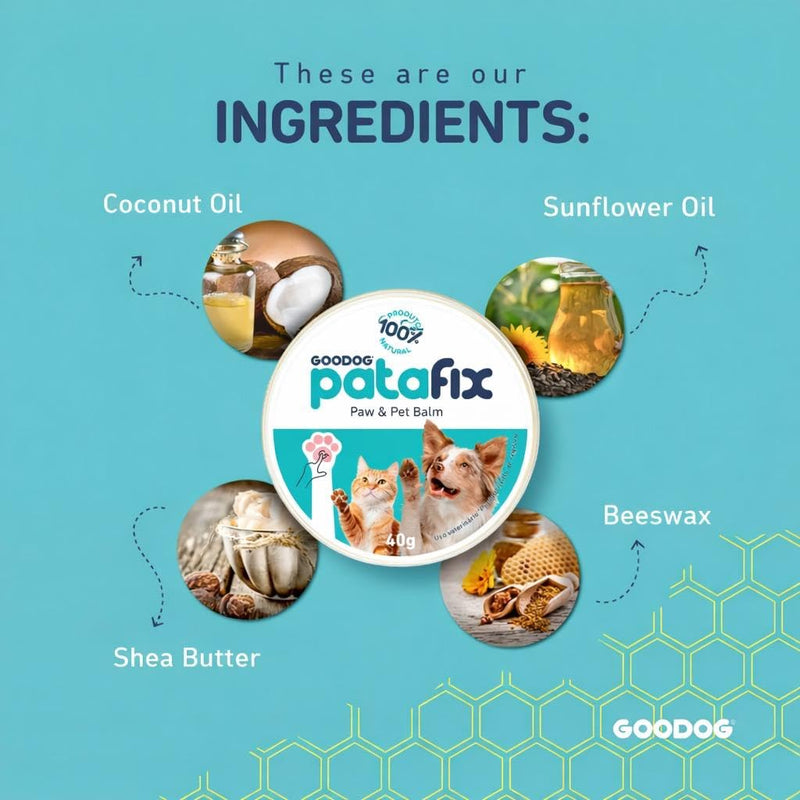 PataFix Natural Paw Balm for Dogs & Cats – 100% Organic Moisturizer for Paws & Nose