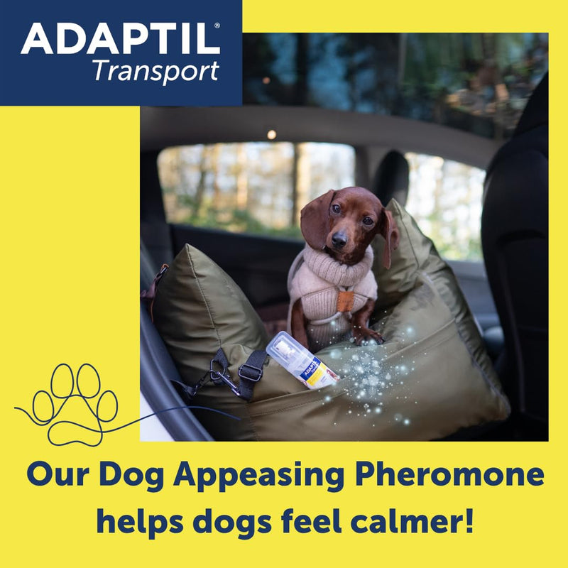 Adaptil Transport Spray For Dogs 60ml, Adaptil Dog Calming Spray Uses Pheromones To Help Reduce Anxiety And Stress In Pet Dogs, Pheromone Spray Helps Anxious Dogs Stay Calmer 60 ml (Pack of 1)