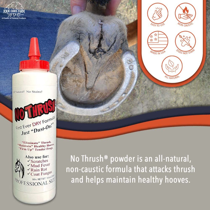 No Thrush Dry Powder Treatment for Horses - Wound Care, Scratches, Rain Rot, Mud Fever, Coat Fungus - All Natural Ingredients, Non-caustic, Easy to Use Powder Formula (10 oz) 10 oz. - BeesActive Australia