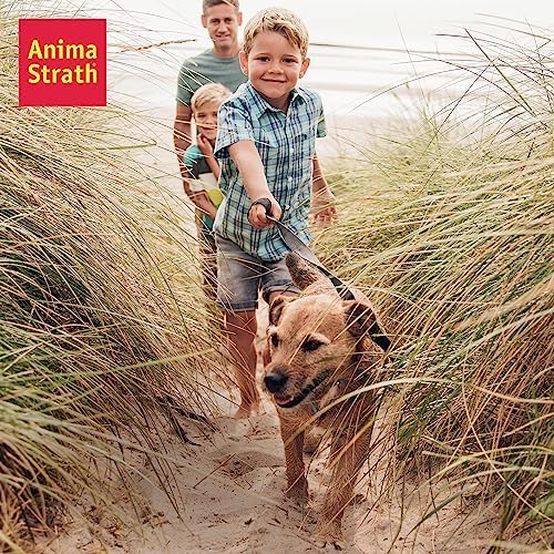 Anima-Strath Granules - Natural Food Supplement for Dogs & Cats | Immune System & Digestive Care, 61 Nutrients, Vitamins, Minerals, Amino Acids & Prebiotic Qualities | BARF Food Topper (Granules 100g) Granules 100g