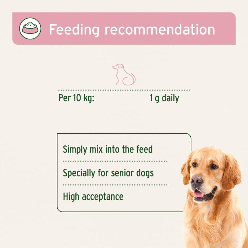 AniForte Senior Active Powder 250g for Older Dogs - Minerals, Amino Acids & Vitamins for Dogs, Supports Memory & Heart Function, Green-Lipped Mussel for Vitality & Agility, Seniors Food Supplement