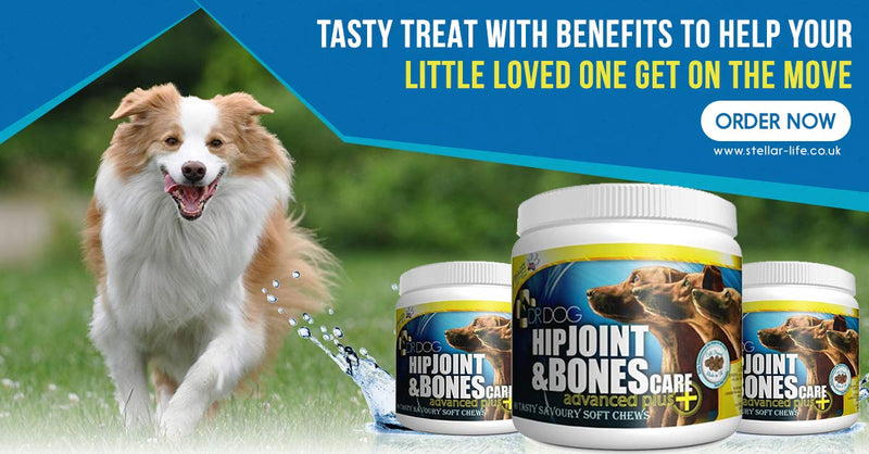 DR DOG Joint Supplement - 90 Cold Pressed Soft Chew Dogs Joint Supplements - Hip & Joint Care for Dogs – Bacon Flavoured Dog Joint Care Chews – Chondroitin - Glucosamine for Dogs –Vet Grade-Made in UK