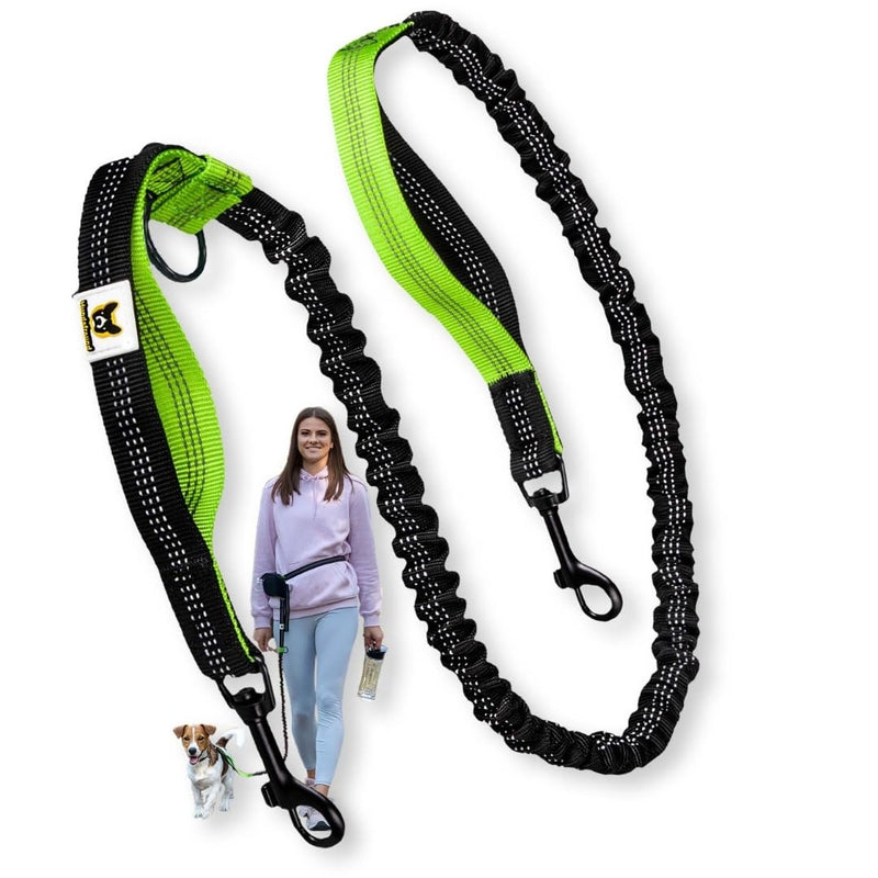 Hundefreund Hands-Free Dog Leash Replacement Bungee (43–63”) – Extension for Small Dogs – Shock-Absorbing with Dual Handles & Reflective Stitching (Green) - BeesActive Australia
