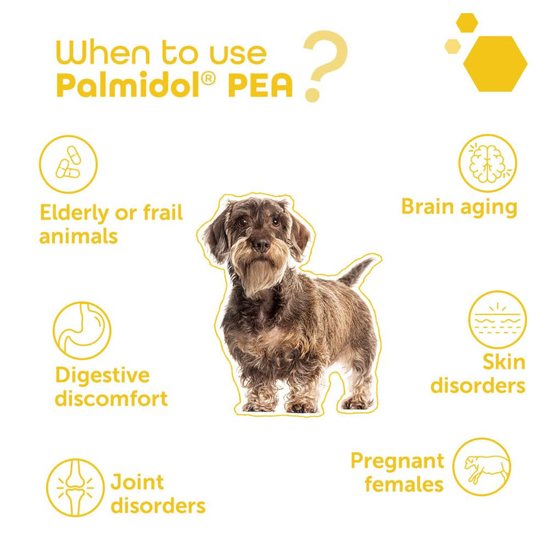 Palmidol® PEA for Dogs and Cats – 30 Sprinkle Capsules | Ideal for Senior Pets & Wellness Support