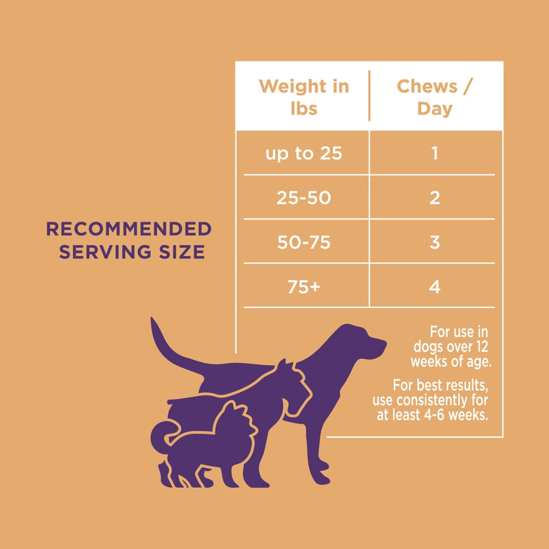 Natural Rapport Dog Skin and Coat Supplement - The Only Skin and Coat Soft Chews Dogs Need - 120ct Treats that Contain Salmon Oil and Omegas 3, 6, & 9 Skin Health Chew