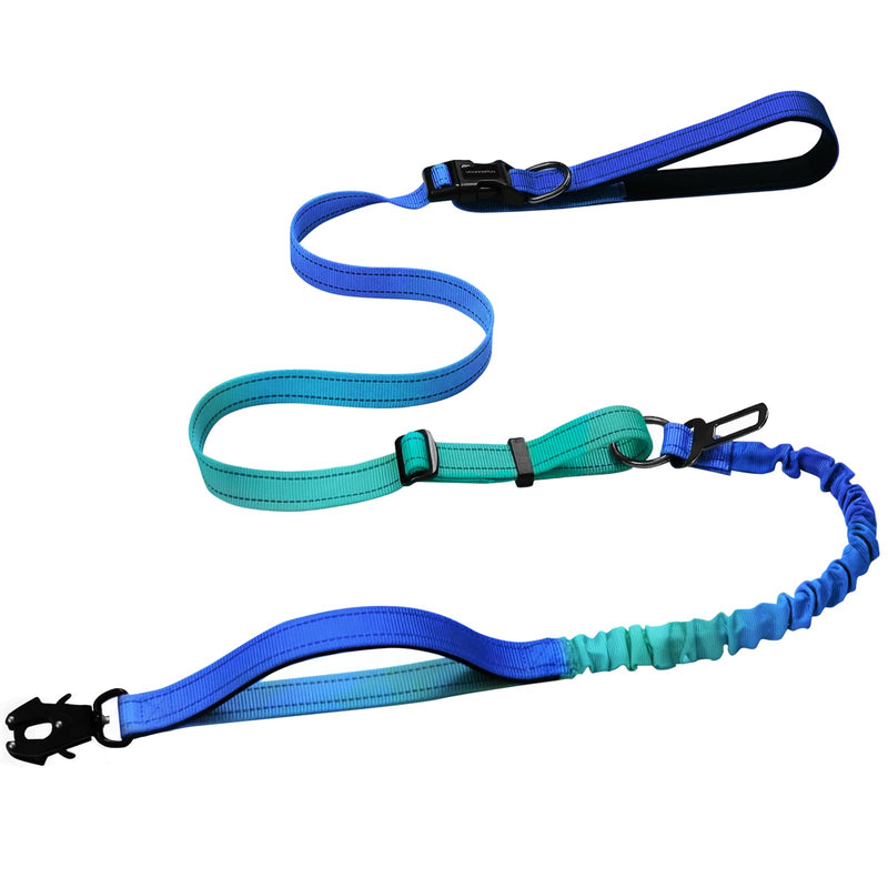 Heavy Duty Hands Free Dog Leash with Quick Release Carabiner and Adjustable No Pull Bungee Dog Running Waist Leash，for Walking and Training with Car Seat Belt 4-6FT (Aquamarine) Aquamarine - BeesActive Australia