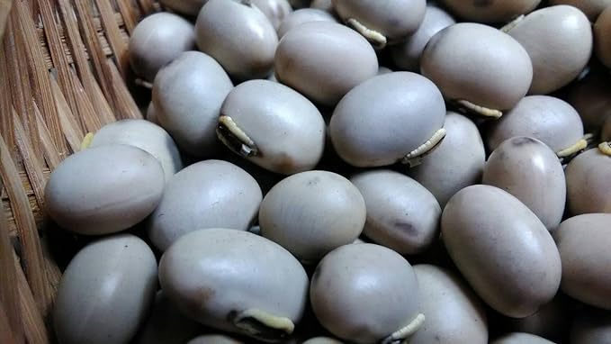 Mitchi Orange Fields: Mukuna Bean / Ehime Produced in Ainan Town (1.8 oz (50 g) - BeesActive Australia