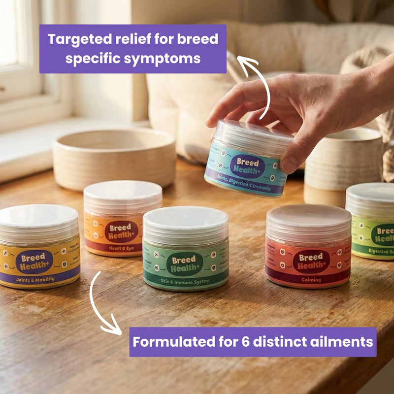 YEARS Breed Health+ Vet Certified Prebiotic Joint Support for Dogs Nutritional Supplement Powder for Mobility | 40g | Fussy Dog Approved for Sensitive Stomachs
