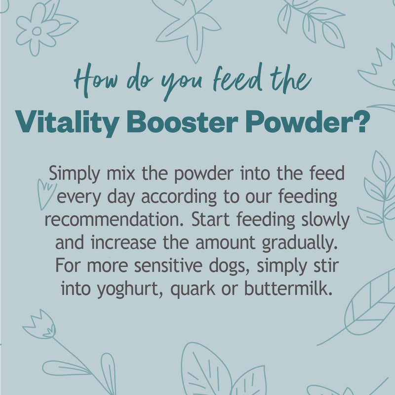 GRAU - the original - Hokamix Vitality Booster, pack of 1 (1 x 150 g), supplementary food for dogs