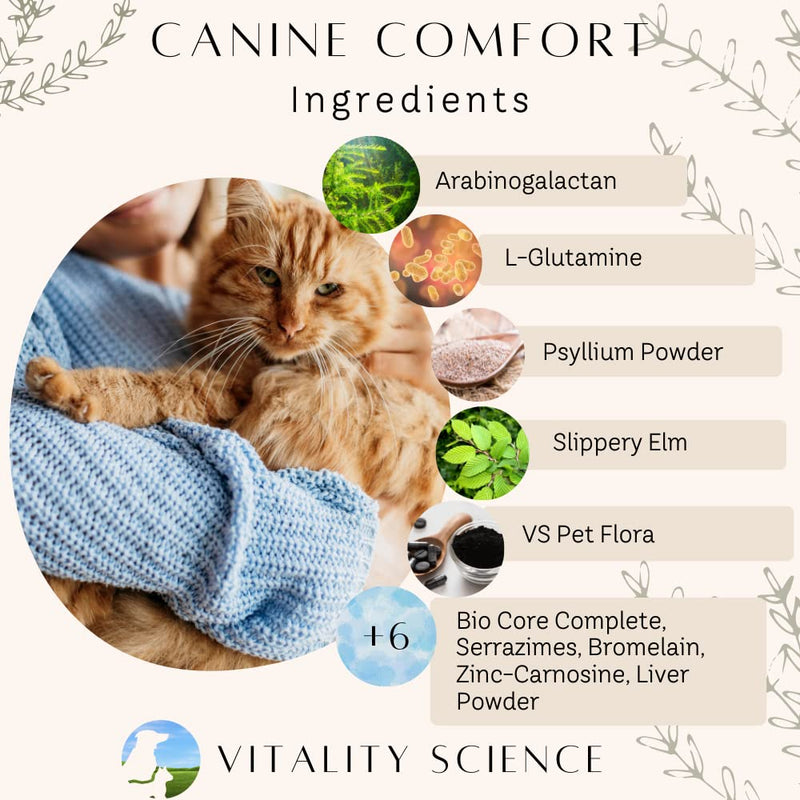 Vitality Science Canine Comfort for Dogs | Maintains a Healthy Intestinal Tract and Proper Gut Flora| Restores Gastric Distress | Helps with Vomiting and Diarrhea | 100% Additive Free, Beef 98g Seafood Small