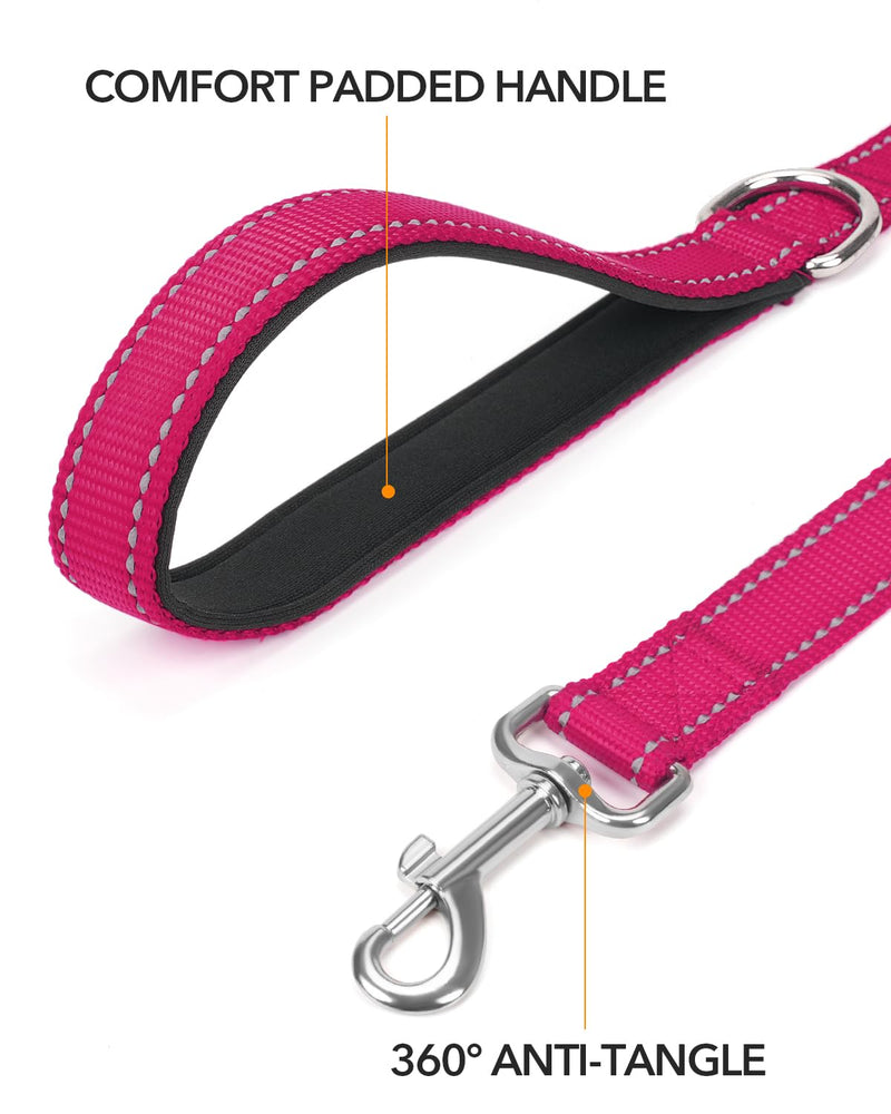Taglory Dog Leash for Small Dogs, Double-Sided Reflective Dog Leash with Soft Neoprene Padded Handle, 3/4 inch by 4 ft, Fit Small Medium Large Breeds Dogs Under 20 lbs, Hot Pink 3/4 in x 4 ft (Pack of 1) - BeesActive Australia