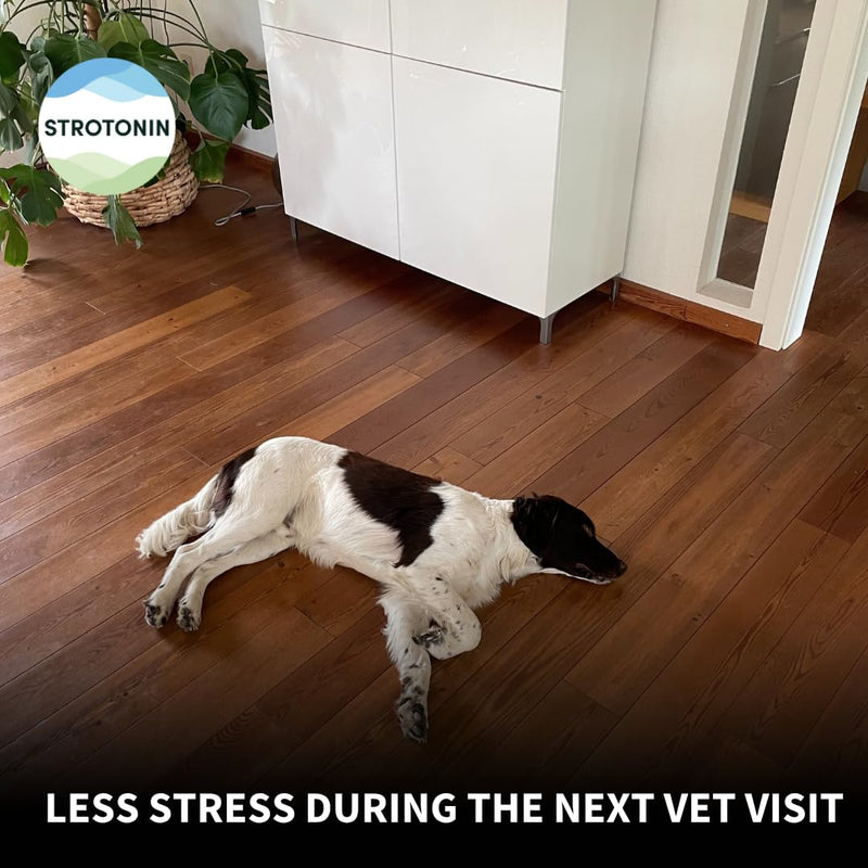 Dog Nerve Support | Natural Dog Calming Supplement for Anxiety, Fireworks, Travel & Everyday Stress | Alternative to Dog Calming Tablets & Rescue Drops | Made in Germany - 10 units