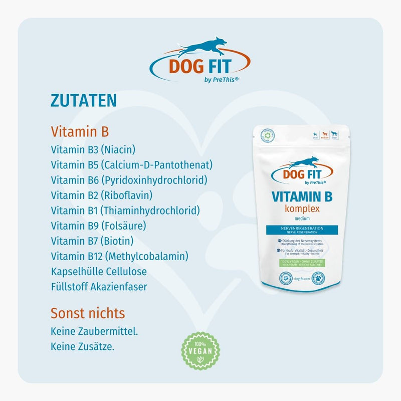 DOG FIT by PreThis® Vitamin B complex for dogs I nervous system, incontinence, spondylosis, tremors, strengthening I B vitamins with biotin & folic acid I Vegan without additives | medium medium (10 - 25kg) - BeesActive Australia