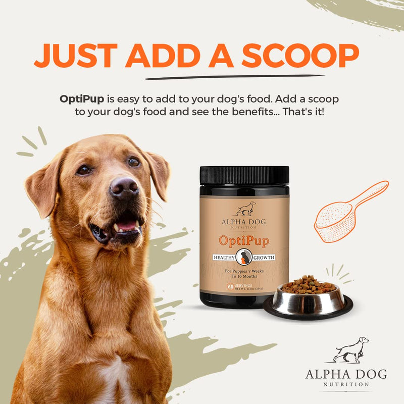OptiPup All-in-1 Puppy Multivitamin by Alpha Dog Nutrition – Contains 31 Superfoods Including Probiotics and Prebiotics for Digestive Support, Skin & Immune Health, and Optimum Growth (30 Servings) 30 Servings