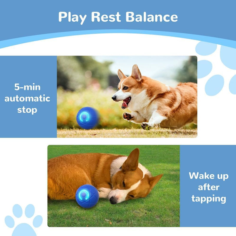 2025 New Shaky Ball Toy for Dogs, Upgrade Interactive Dog Ball, Pet Bounce Ball, Vibrating Dog Ball, Automatic Moving Dog Toy Ball, USB Rechargeable Shaking Pet Ball for Small Dogs - BeesActive Australia