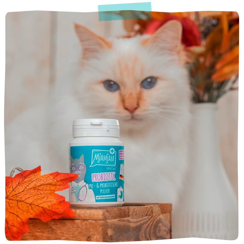 MjAMjAM VetCat - Probiotic - Pre- & Probiotic Powder, 1 pack (1x40g) Naturel 1er Pack (1 x 40g)