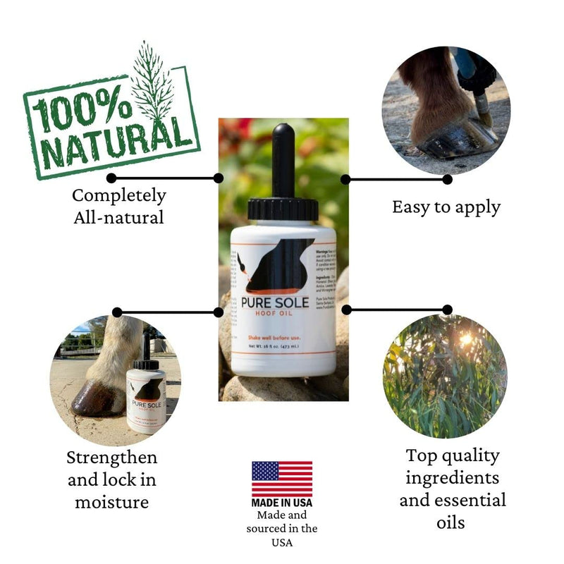 Hoof Oil - All Natural Hoof Conditioner for Horses with Hoof Oil Brush Applicator - Strengthens, Moisturizes and Treats Hoof Problems - 16 fl oz. - BeesActive Australia