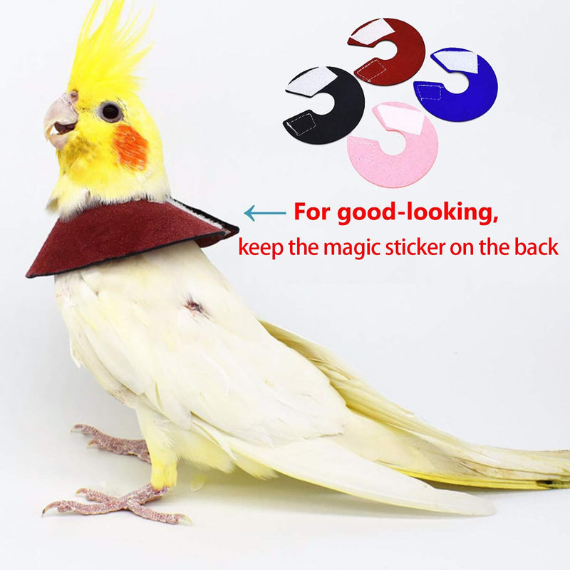 QBLEEV 4Pack Pet Parrot Anti-bite E-Collars, Anti-Grab Feather Plucking Wound Healing Safety Elizabethan Collar, Protective Recovery Cones for Budgerigar Lovebird Agapornis Fischer Cockatiel Cockatoo XL - Suitable for Monk Parakeet