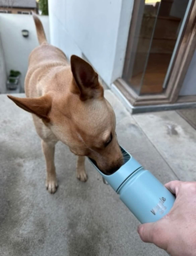 Stainless Steel Dog Travel Water Bottle, Vacuum Insulated Portable Dog Water Dispenser, Drink Cup and Snack Container On The Go, Outdoor Walking, Hiking, Travel (Mint) Mint - BeesActive Australia
