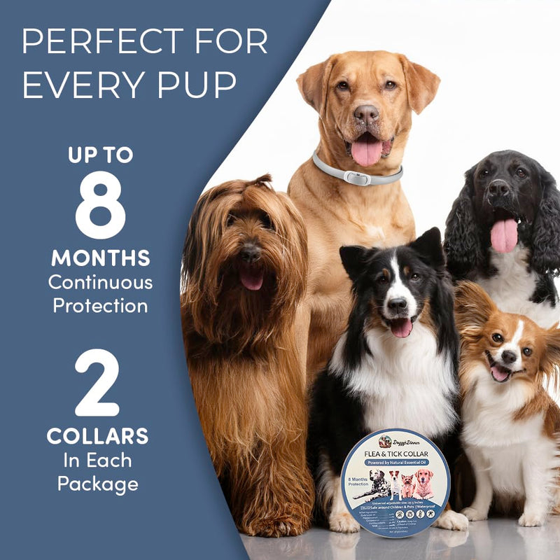 Flea and Tick Collar for Dogs and Cats- Lasts Up to 8-Months Using Natural Plant-Based Oils - Safe for Pets, People and The Environment - 2-Pack Flea Collar for Dogs and Cats - BeesActive Australia