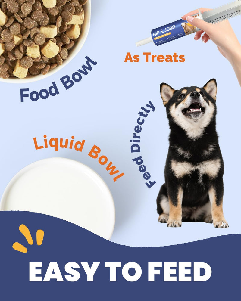 Joint Supplements for Dogs - Dog Joint Supplements for senior dogs with Glucosamine, Chondroitin, MSM - Soothes Joints, Aids Mobility - Green Lipped Mussel for Dogs - Chicken Flavor Paste, 60ML