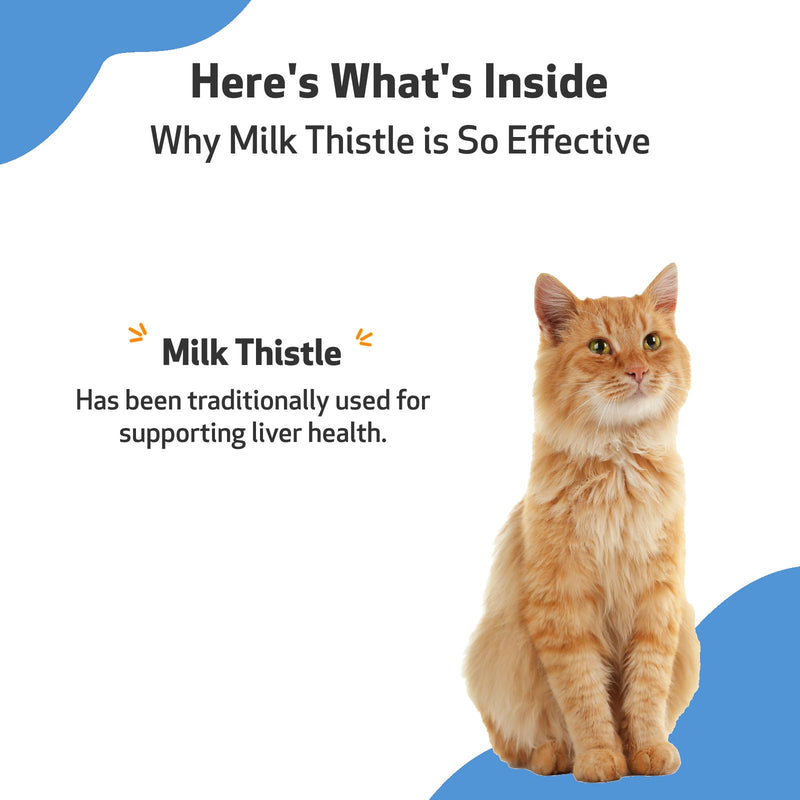 Pet Wellbeing Milk Thistle for Cats - Supports Liver Health, Healthy Detoxification, Antioxidant Support, Liver Cell Support, Silymarins - Veterinarian-Formulated Herbal Supplement (2 fl oz (59 ml) 2 Fl Oz (Pack of 1) - BeesActive Australia