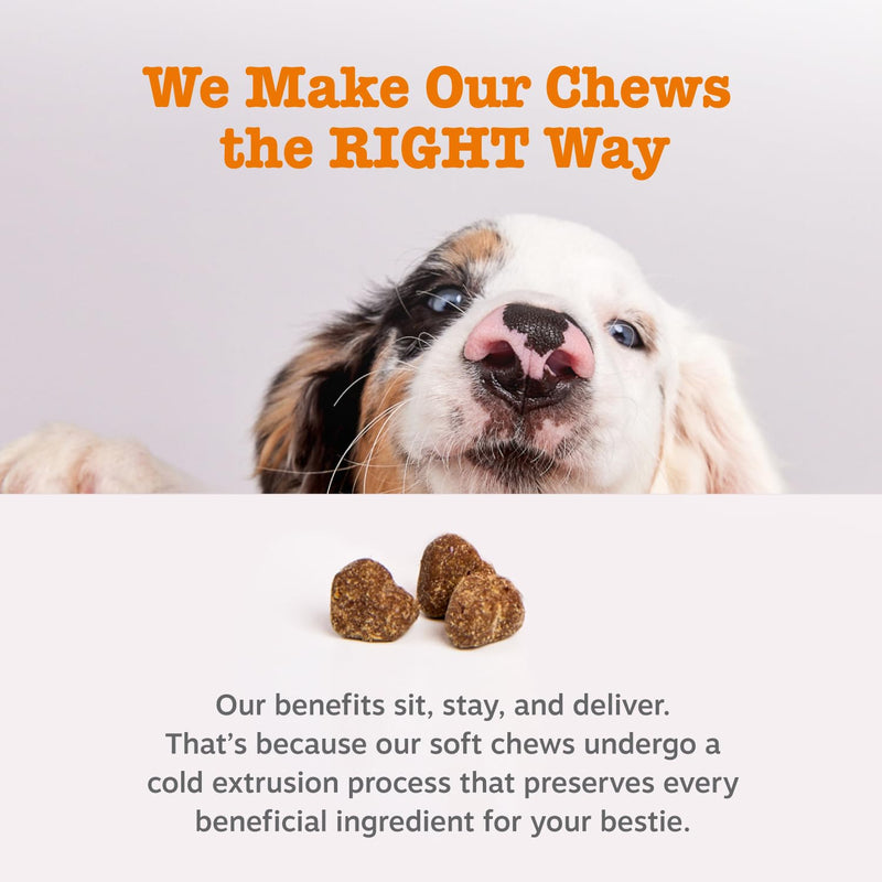 Zesty Paws Probiotics for Dogs - Digestive Enzymes for Gut Flora, Digestive Health, Diarrhea & Bowel Support - Clinically Studied DE111 - Dog Supplement Soft Chew for Pet Immune System - Pumpkin 90 Count - BeesActive Australia