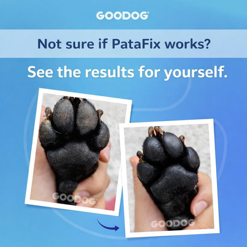 PataFix Natural Paw Balm for Dogs & Cats – 100% Organic Moisturizer for Paws & Nose